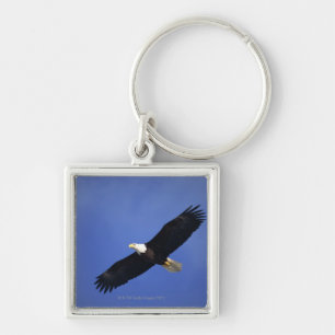 Ansteigender Weißkopfseeadler, Alaska Schlüsselanhänger