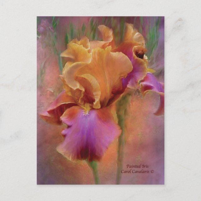 Anstrich Iris Art Postkarte (Vorderseite)