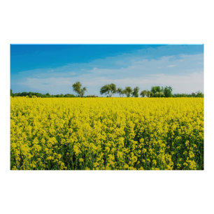 Anstrich von gelben Blumen Fotodruck