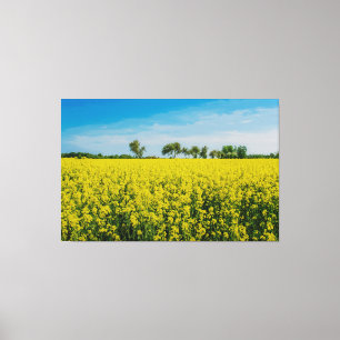 Anstrich von gelben Blumen Leinwanddruck