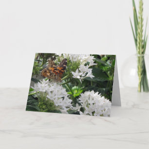 Anstrichene Lady Butterfly Geburtstagskarte Karte