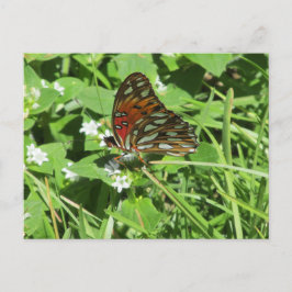 Anstrichene Lady Butterfly Postcard Postkarte