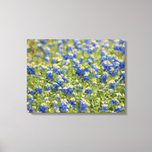 Anstrichene Leinwand: Texas Wildblume Bluebonnet F Leinwanddruck
