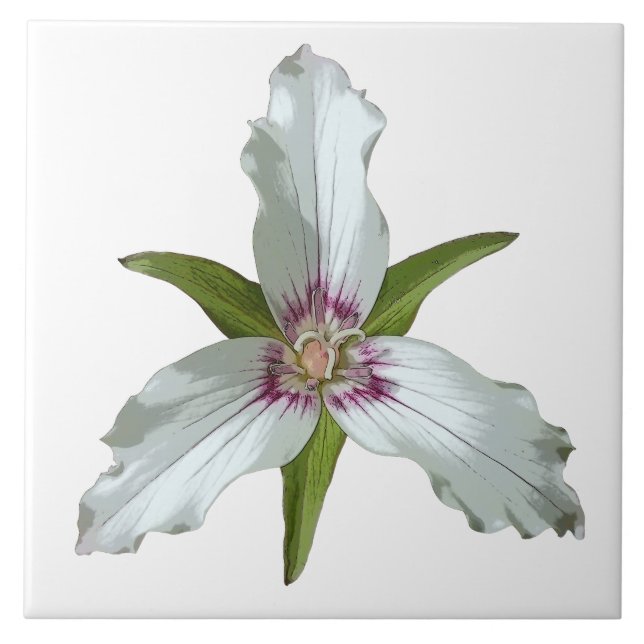 Anstrichene Trillium Spring Wildblume Keramik Tile Fliese (Vorderseite)