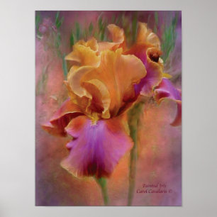 Anstrichfarbenes Iris Art Poster/Print Poster