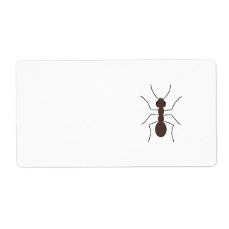 Ant