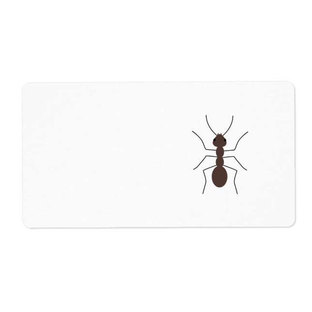 Ant (Vorne)