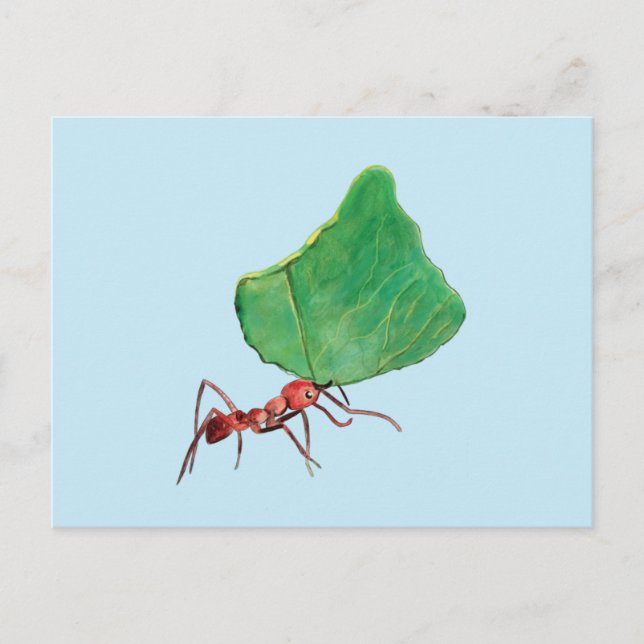 Ant Carry a Big Leaf Postkarte (Vorderseite)