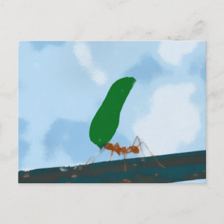 Ant Carry a Leaf Postkarte