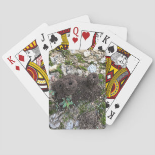 Ant Castle Spielkarten
