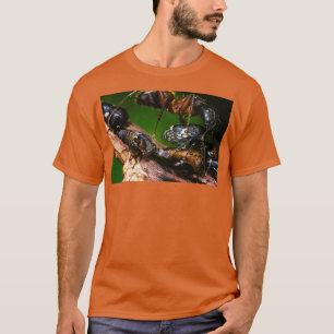 Ant Farms Treehoppers T-Shirt