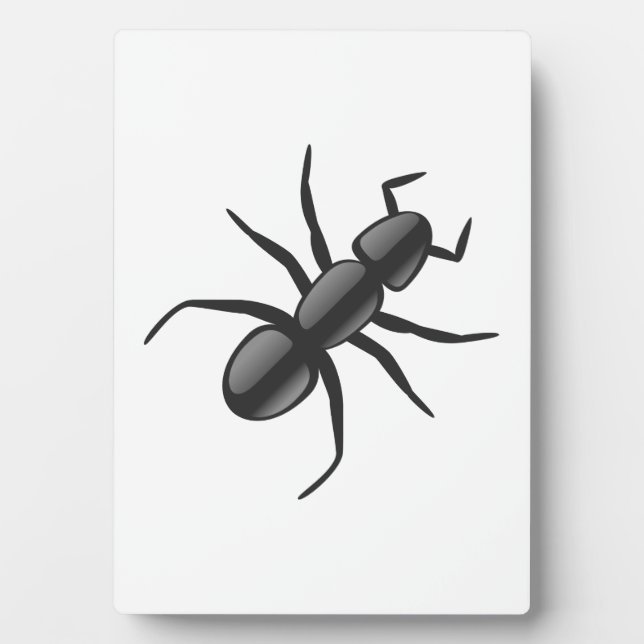 Ant Fotoplatte (Vorderseite)
