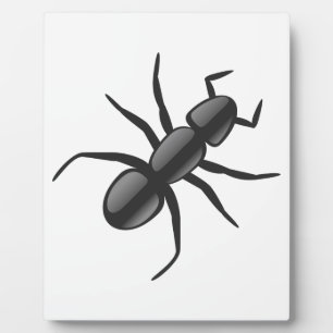 Ant Fotoplatte