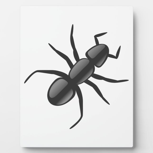 Ant Fotoplatte (Vorderseite)