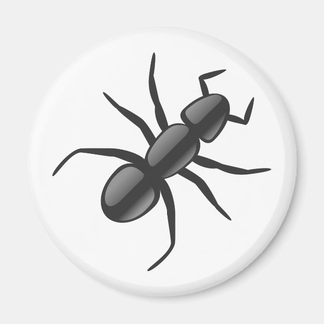 Ant Magnet (Vorne)