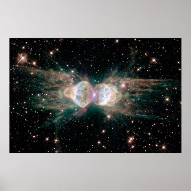Ant Nebula 30x20 (27x18) Poster (Vorne)