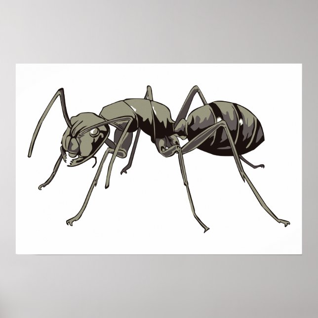Ant Poster (Vorne)