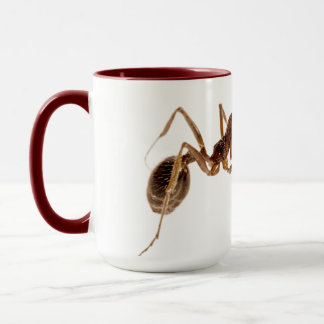 ANT-TASSE TASSE