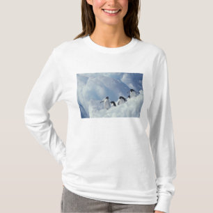 Antarctica. Adelie Pinguine T-Shirt