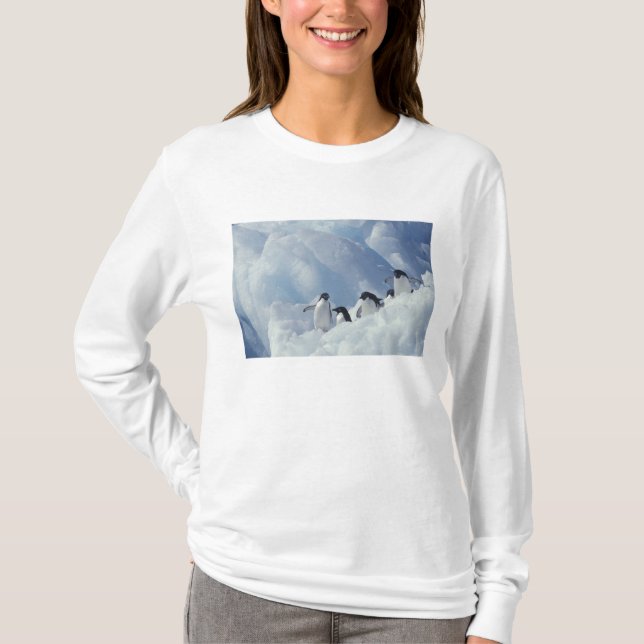 Antarctica. Adelie Pinguine T-Shirt (Vorderseite)