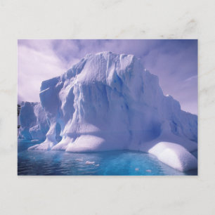 Antarctica. Antarktis Postkarte