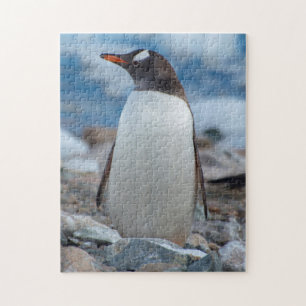 Antarctica. Neko Hafen. Gentoo Penguin Puzzle