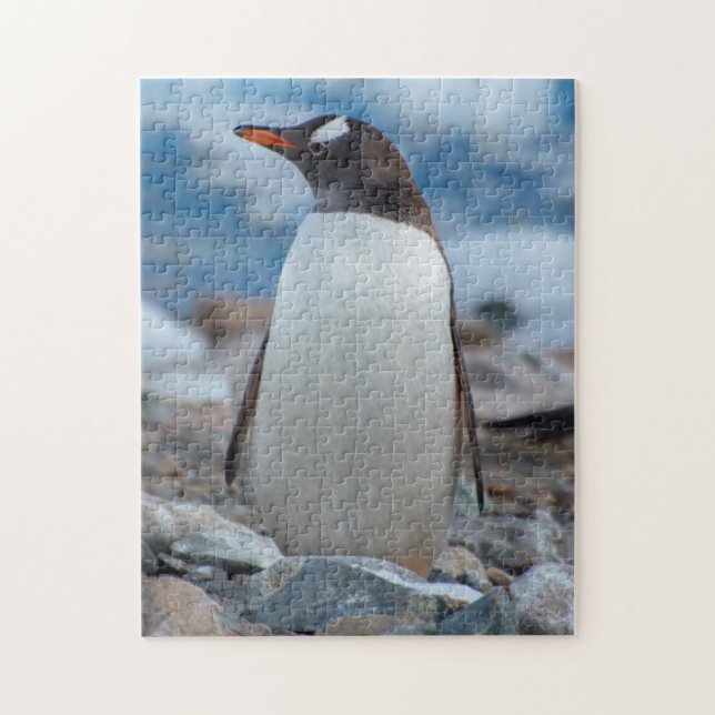 Antarctica. Neko Hafen. Gentoo Penguin Puzzle (Vertikal)