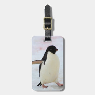 Antarctica. Petermann Island. Adelie Pinguin Gepäckanhänger