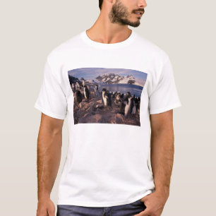 Antarktika, Adeliepinguin-Küken T-Shirt