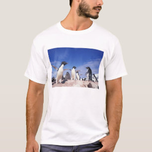 Antarktika, Adeliepinguin Pygoscelis T-Shirt