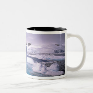Antarktika. Antarktische Eislandschaften 2 Zweifarbige Tasse