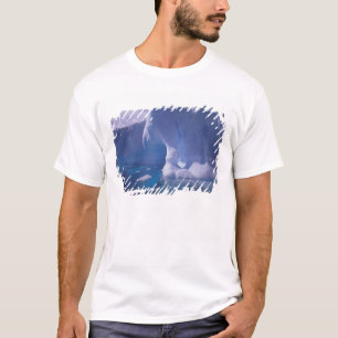 Antarktika. Antarktische Eislandschaften 3 T-Shirt