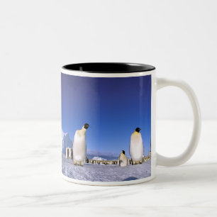 Antarktika, Antarktische Halbinsel, Weddell-Meer, Zweifarbige Tasse