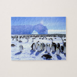 Antarktika, Antarktische Halbinsel, Weddellmeer, 5 Puzzle