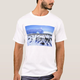 Antarktika, Antarktische Halbinsel, Weddellmeer, 5 T-Shirt
