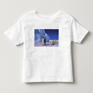 Antarktika, Australisches Antarktis-Territorium, 7 Kleinkind T-shirt