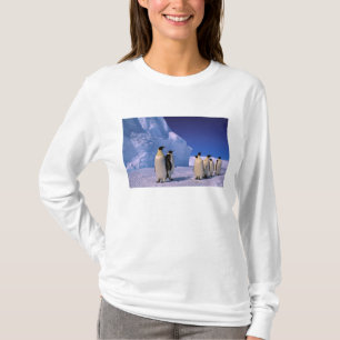 Antarktika, Australisches Antarktis-Territorium, 7 T-Shirt