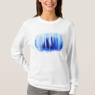 Antarktika, Australisches Antarktisterritorium. 2 T-Shirt