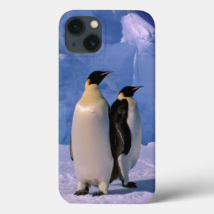 Antarktika, Australisches Antarktisterritorium, 7 Case-Mate iPhone Hülle