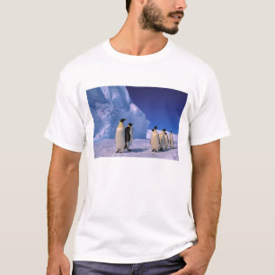 Antarktika, Australisches Antarktisterritorium, 7 T-Shirt