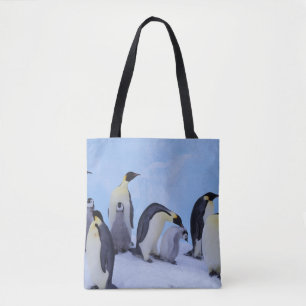 Antarktika, Kaiser-Pinguine