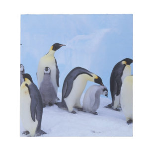 Antarktika, Kaiser-Pinguine Notizblock