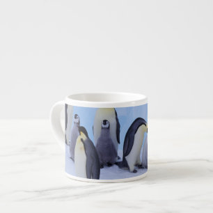 Antarktika, Kaiserpinguine Espressotasse