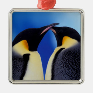 Antarktika, Kaiserpinguine Silbernes Ornament