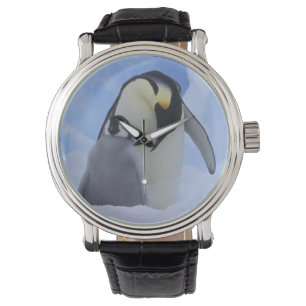 Antarktika. Kaiserpinguine und Küken Armbanduhr