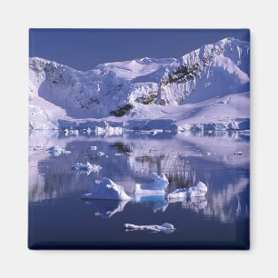 Antarktika, Paradise Bay Magnet