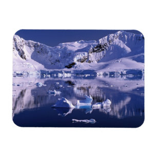 Antarktika, Paradise Bay Magnet