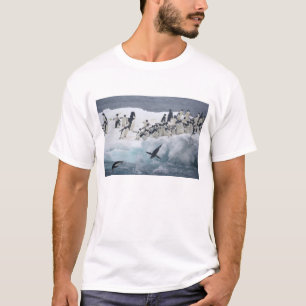 Antarktika, Paulet-Insel. Adeliepinguine T-Shirt