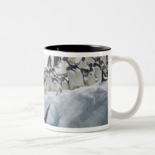 Antarktika, Paulet-Insel. Adeliepinguine Zweifarbige Tasse