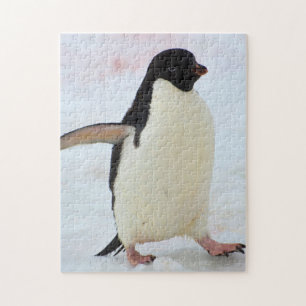 Antarktika. Petermann-Insel. Adeliepinguin Puzzle